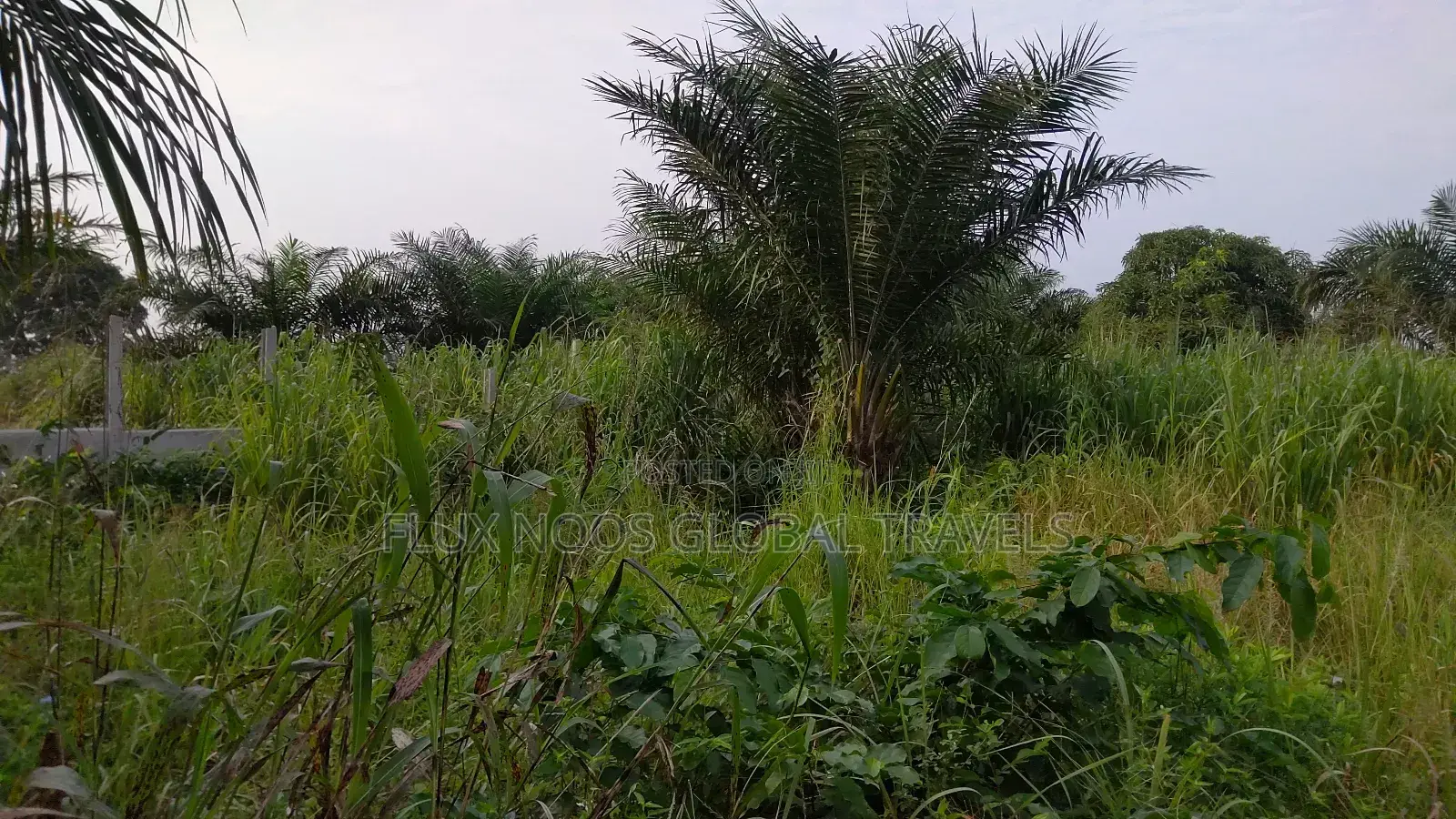 Registered Acres of Land for Sale.