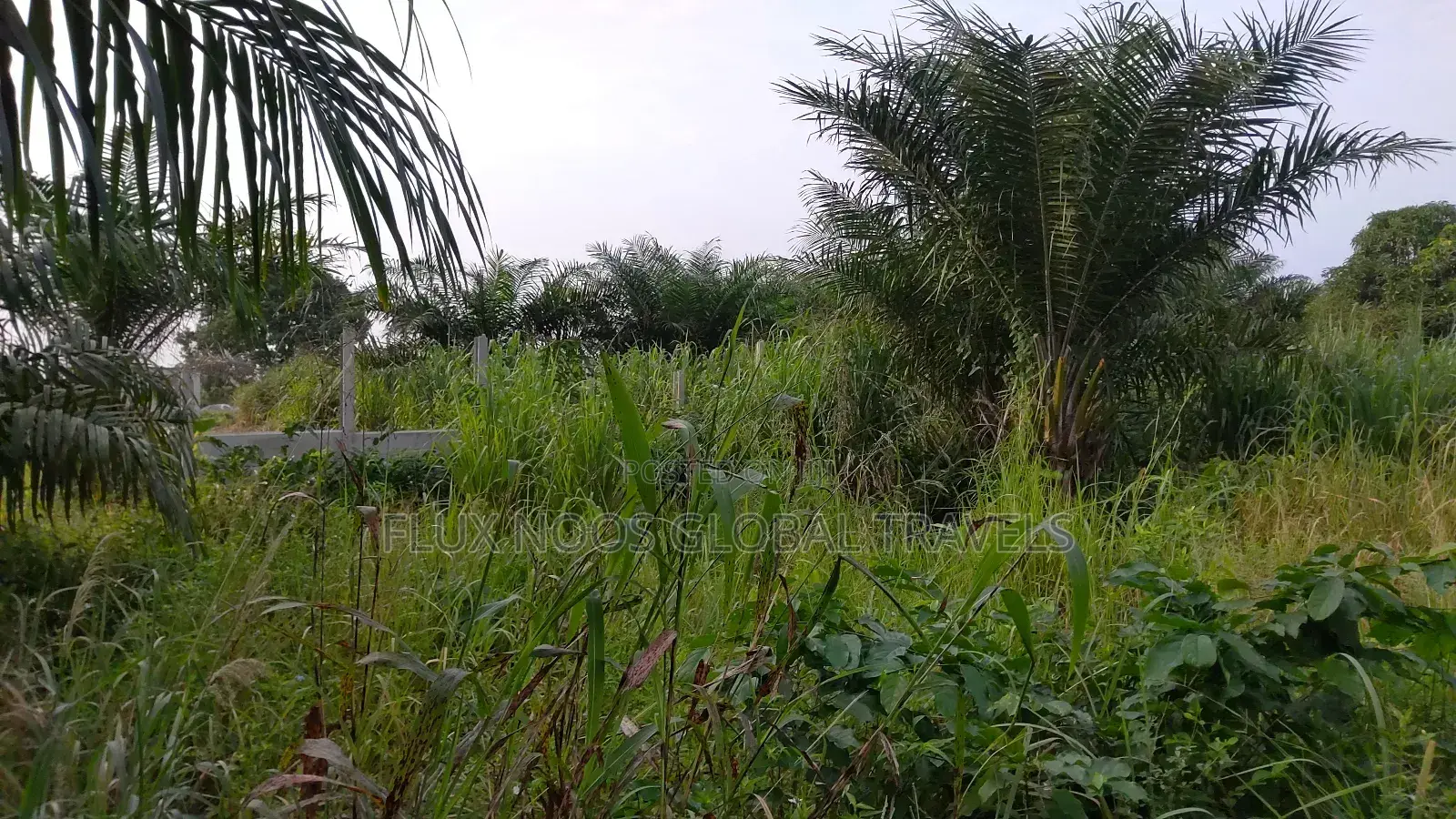 Registered Acres of Land for Sale.
