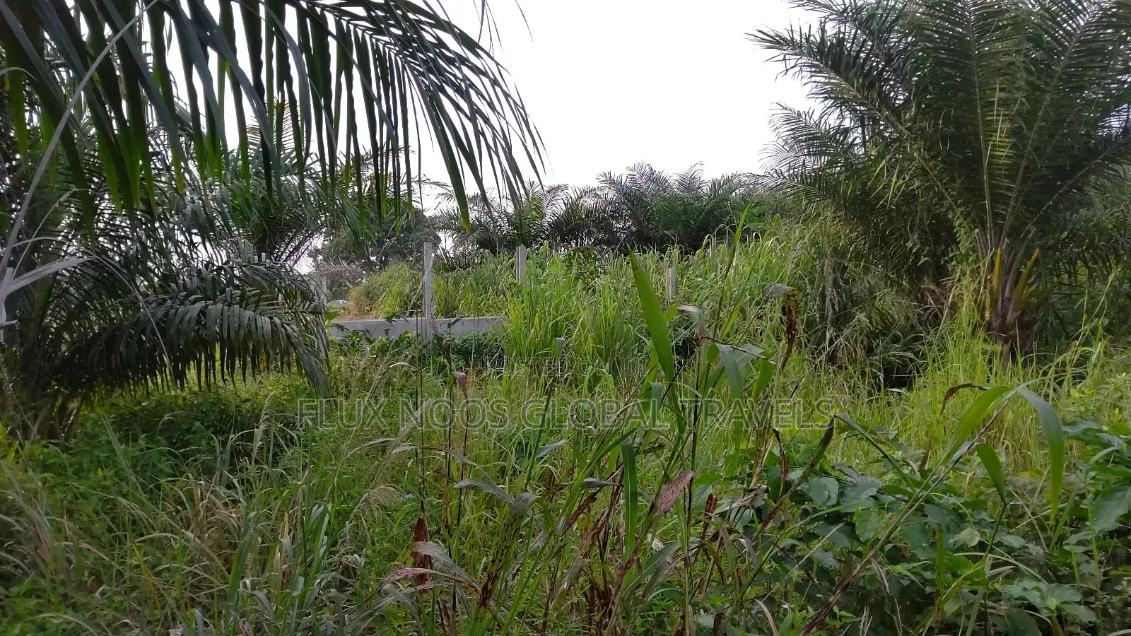Registered Acres of Land for Sale.