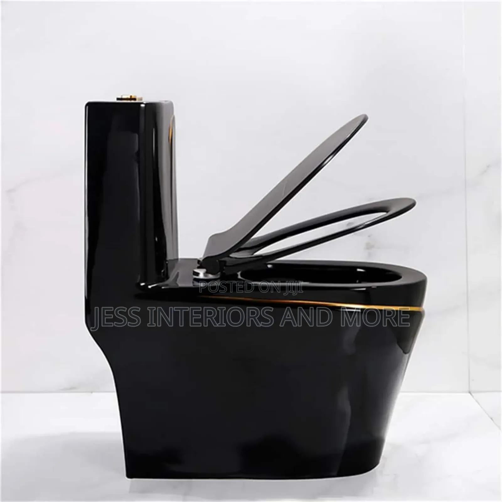 Toilet Bowl/ Water Closet(Black)
