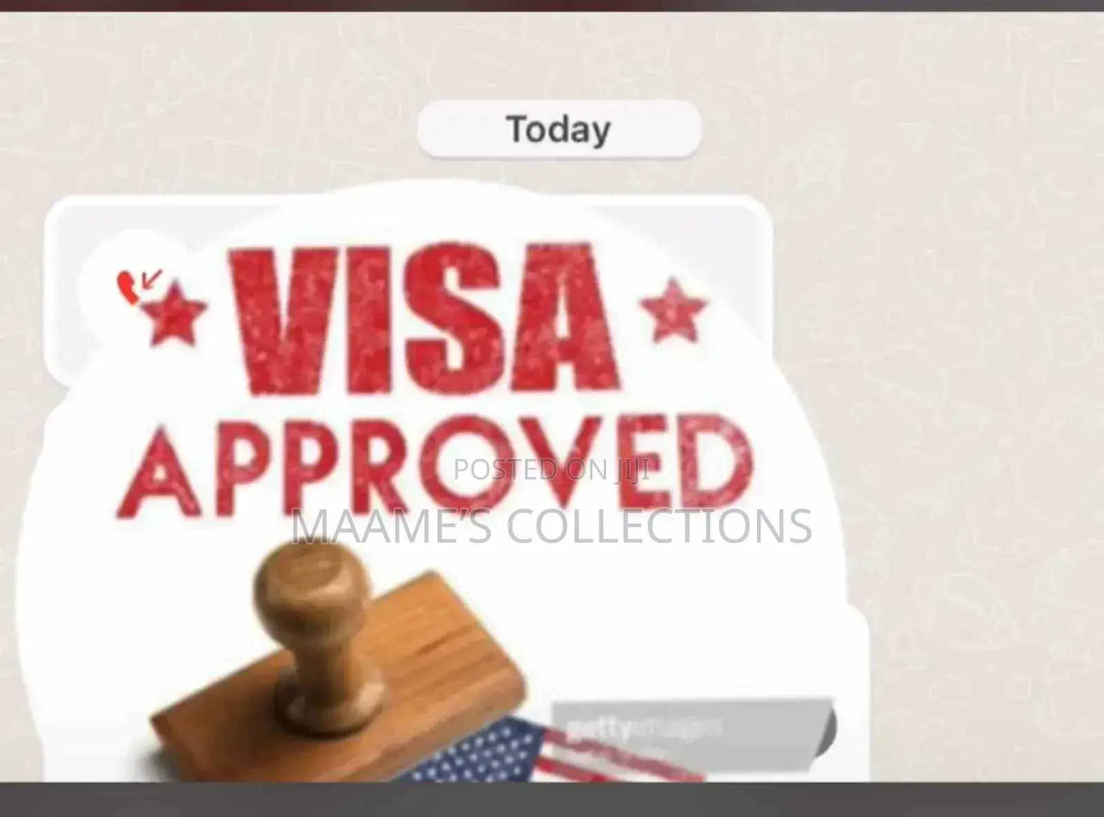 USA Visa Approved
