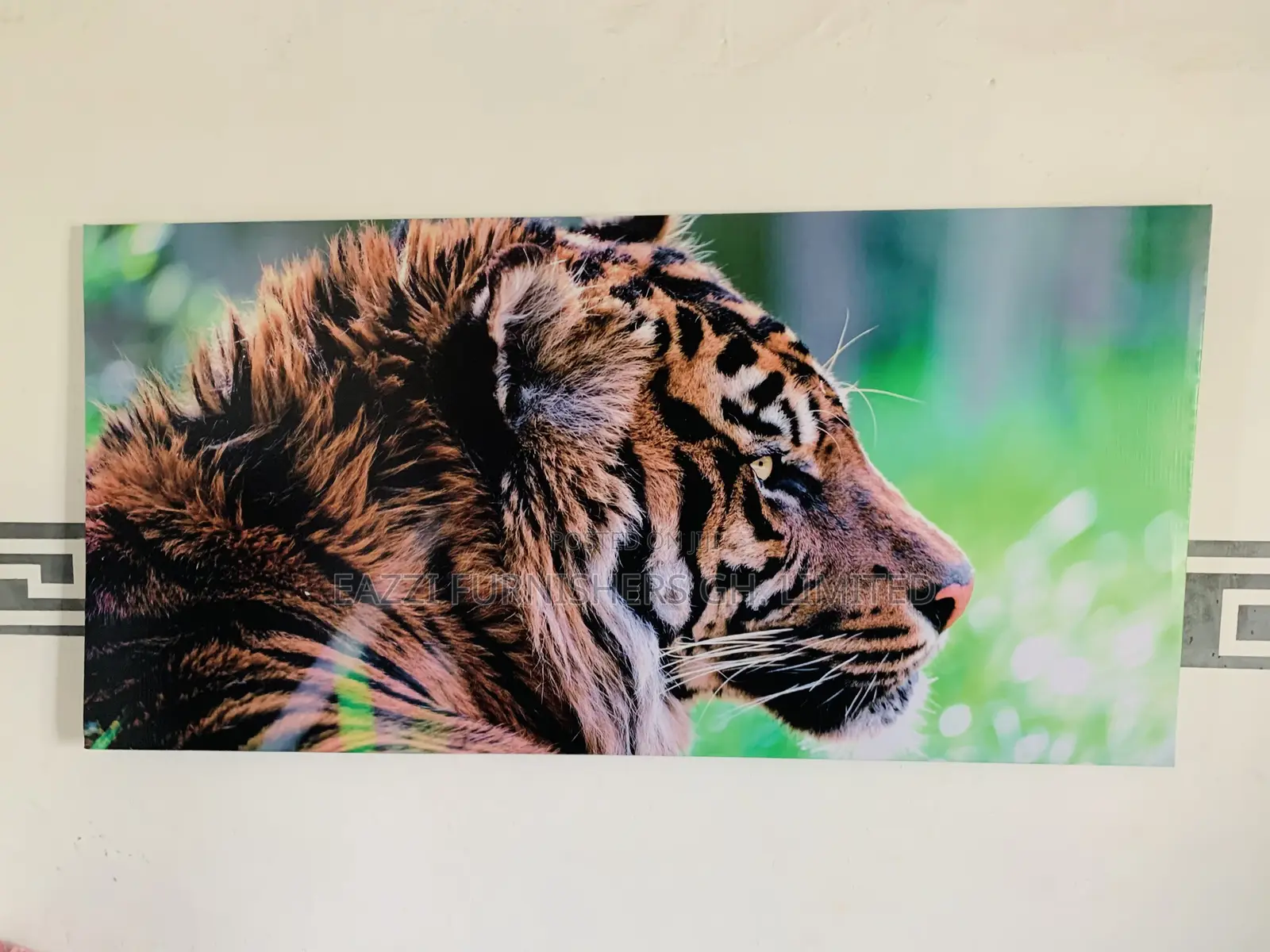 Picture Frame Canvas Arts