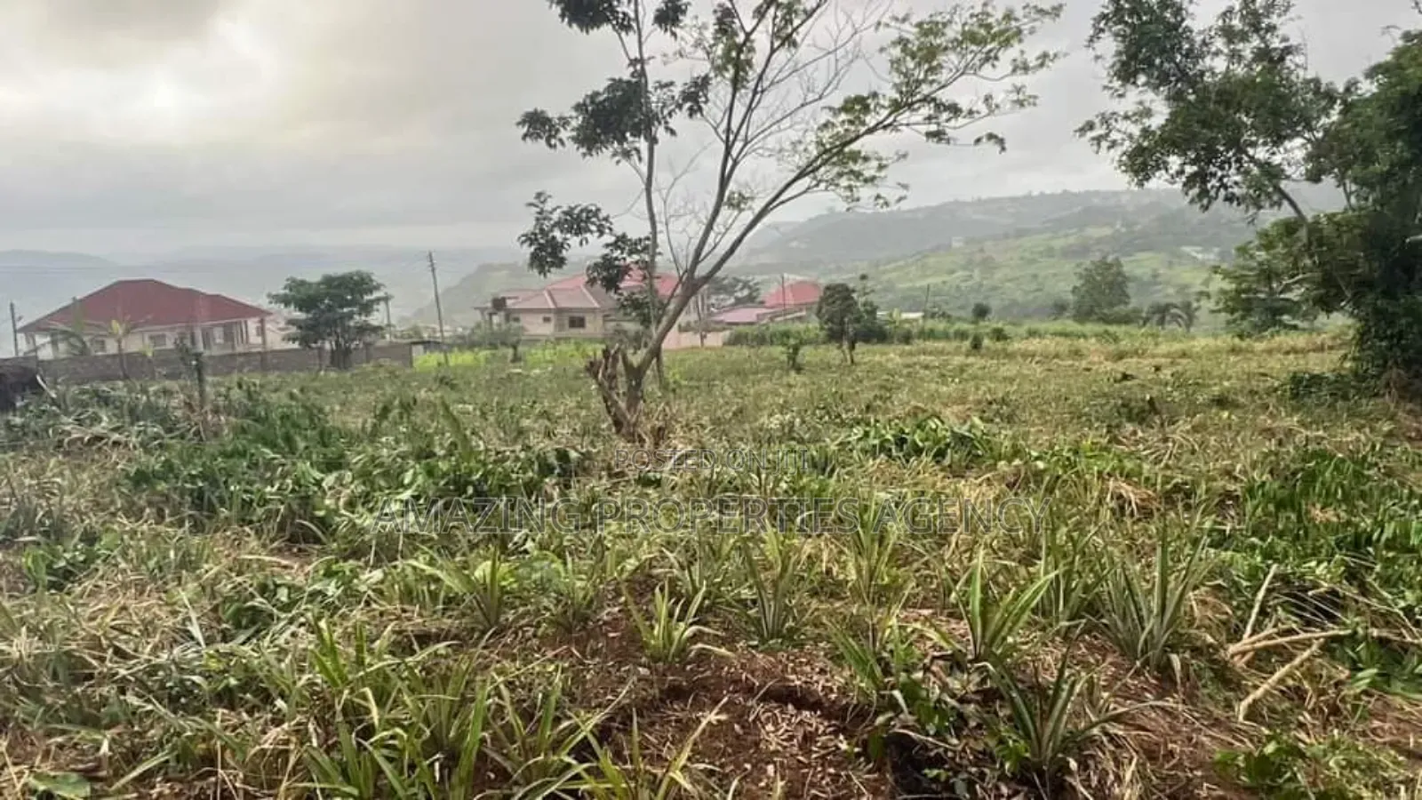 5 Plots of Land at Aburi
