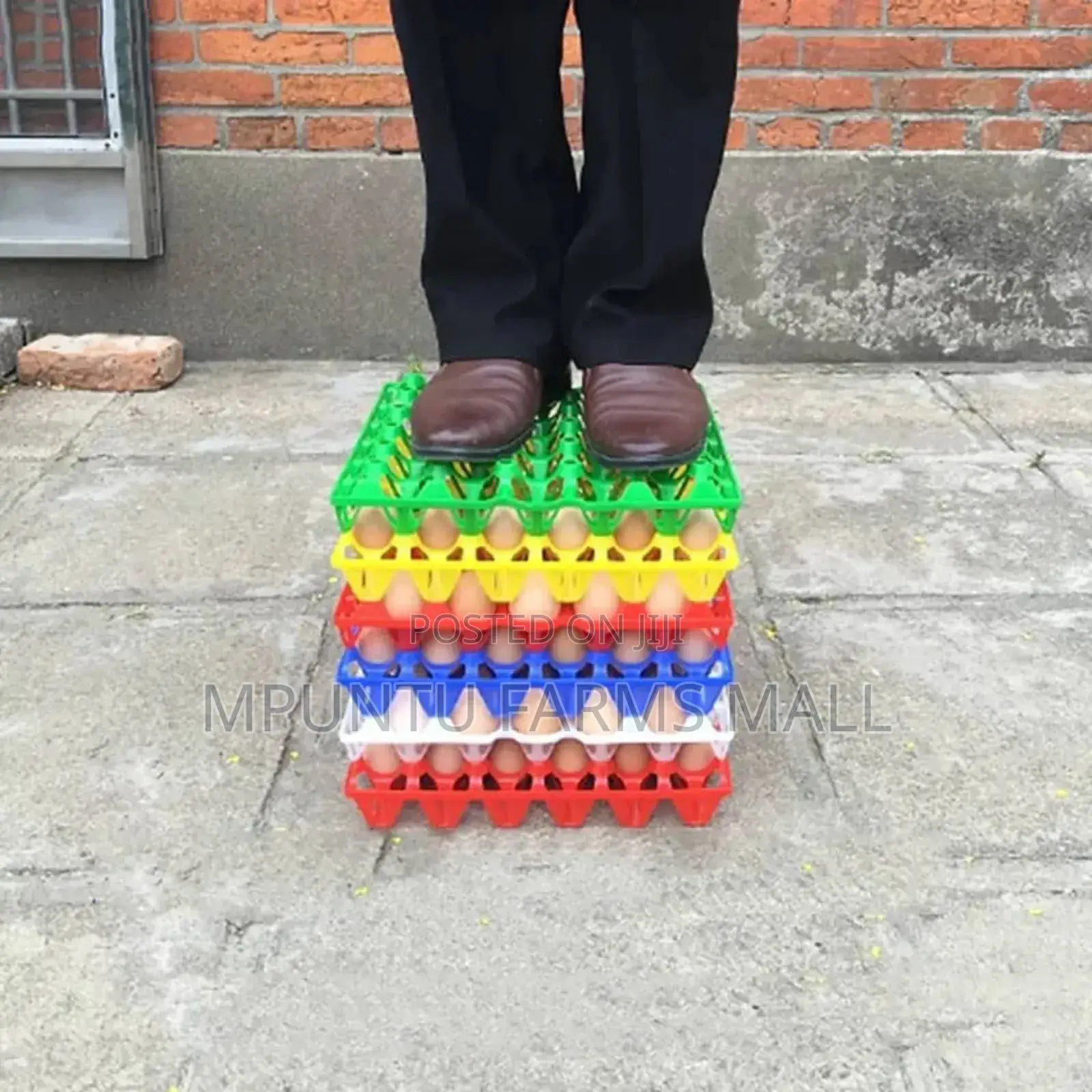 Colourful Plastic Egg Crate