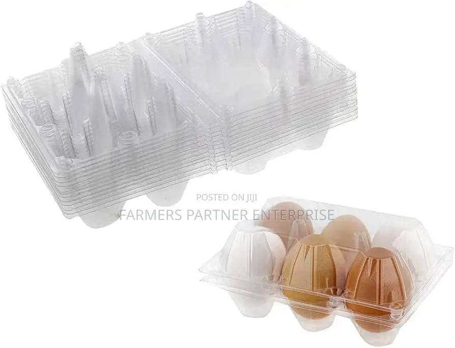 Transparent Egg Crates 6pcs