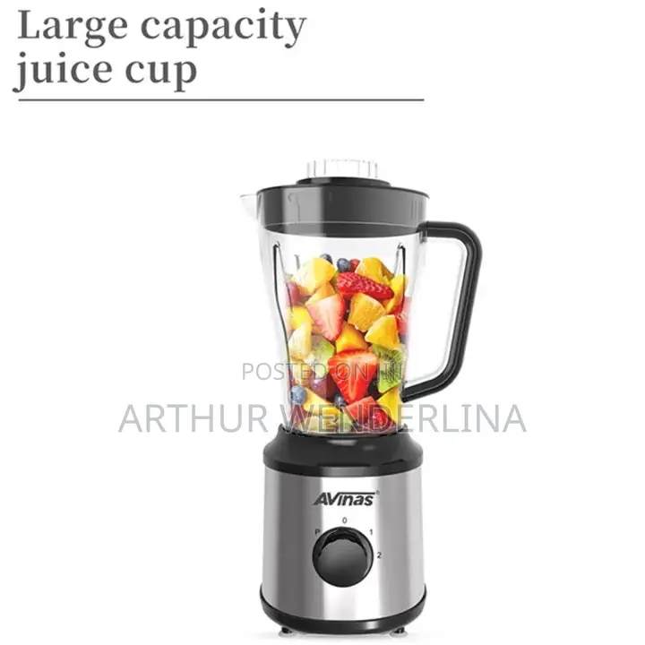 AVINAS 2 in 1 Multi-Function Electric Blender