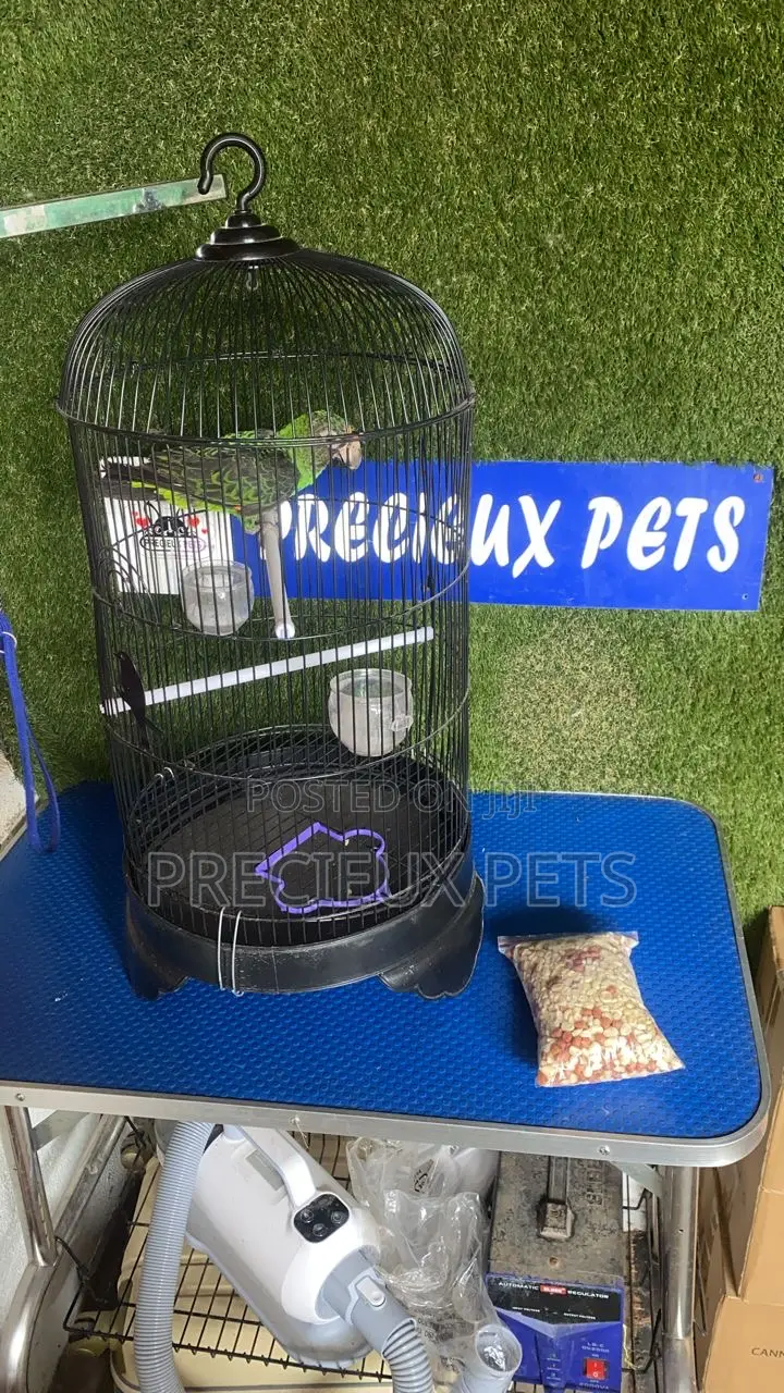 1 Cage / 1 Jardine / Feed