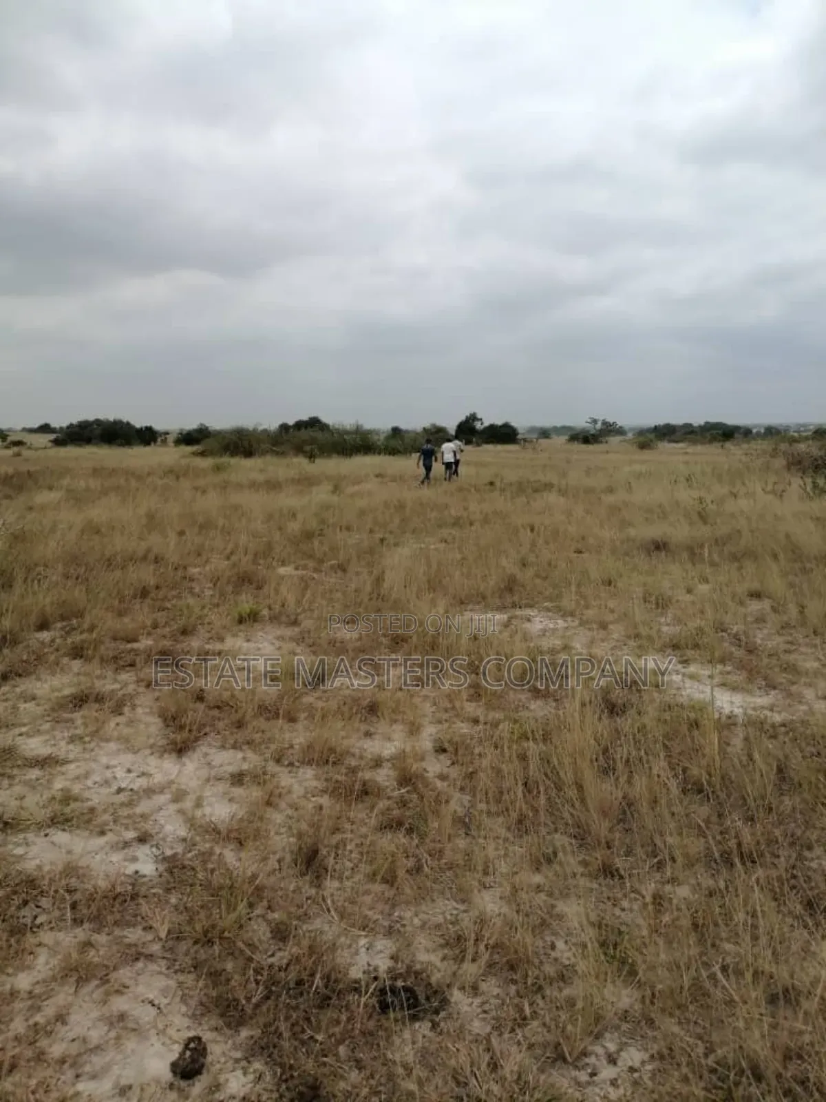 Free Naabu Land Available at Tsopoli