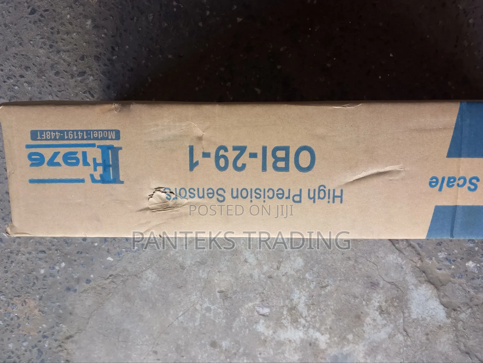 Electronic Platform Scale