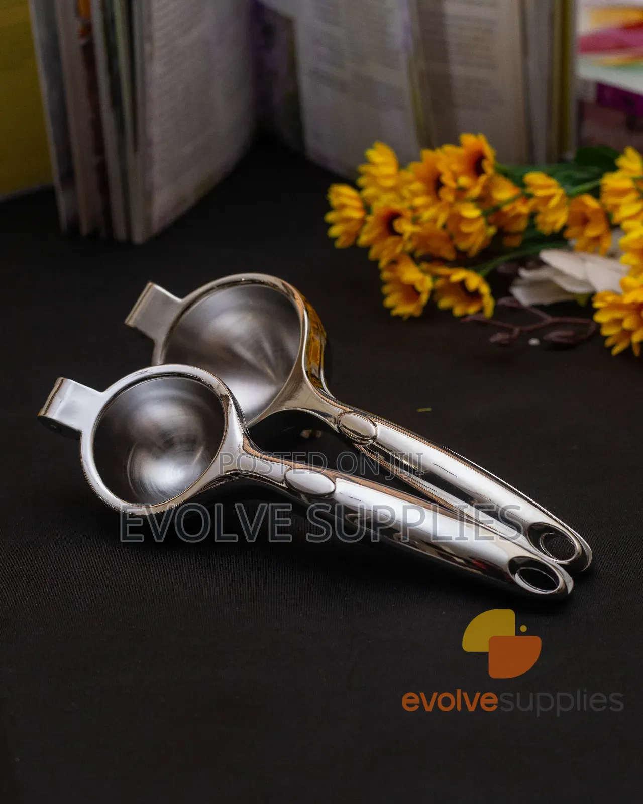 Citrus Press or Lemon Squeezer