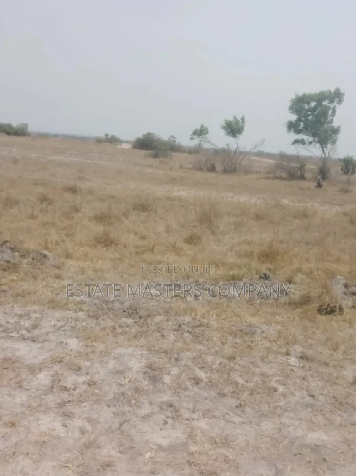 No Asem Land
