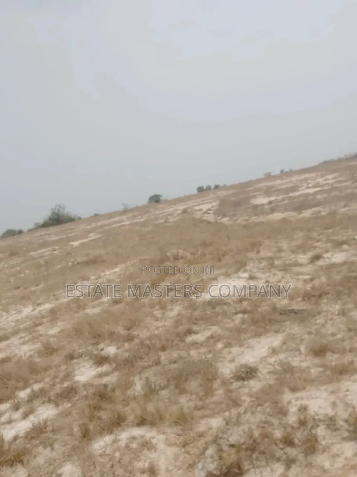 No Asem Land