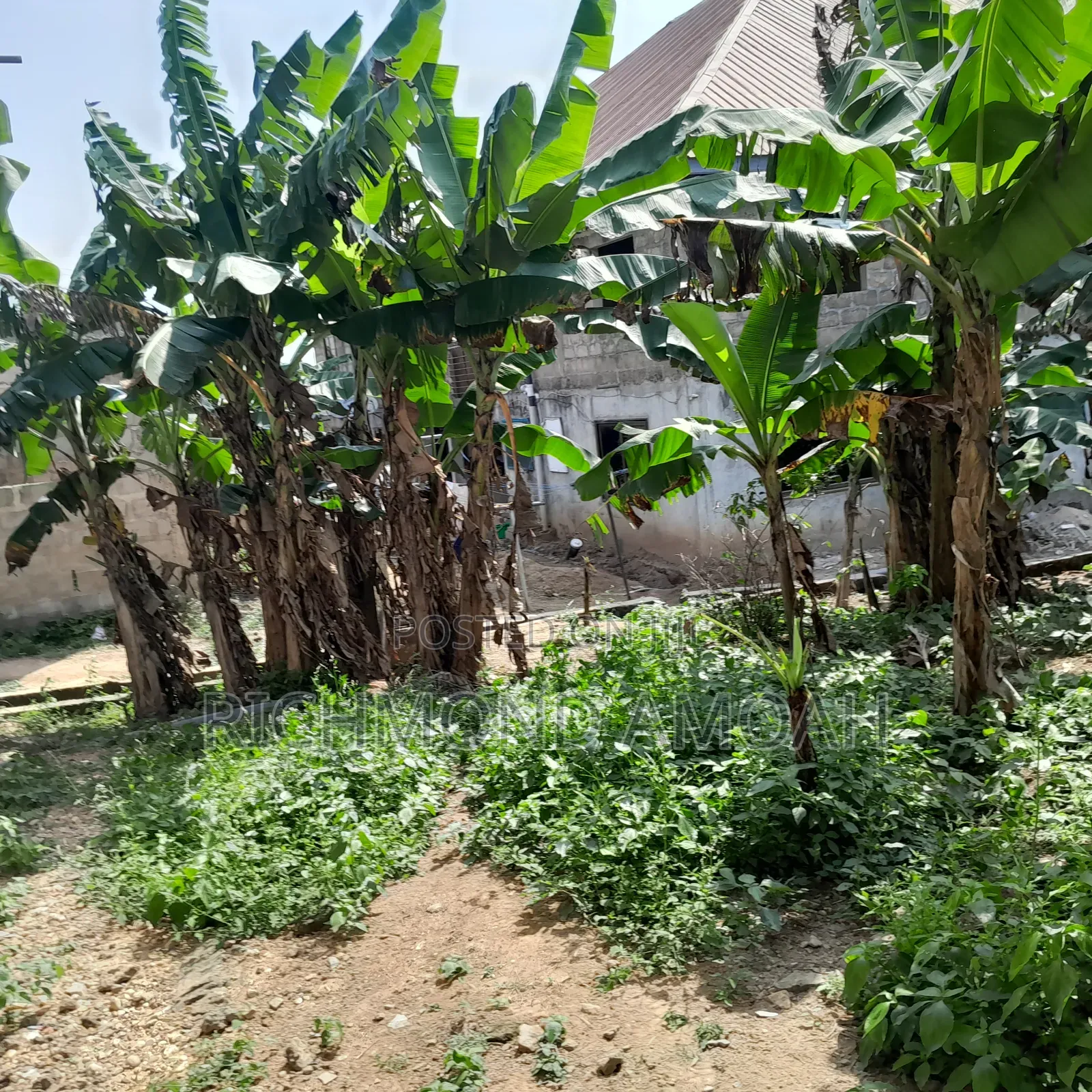 Plot for Sale at Kansa City
