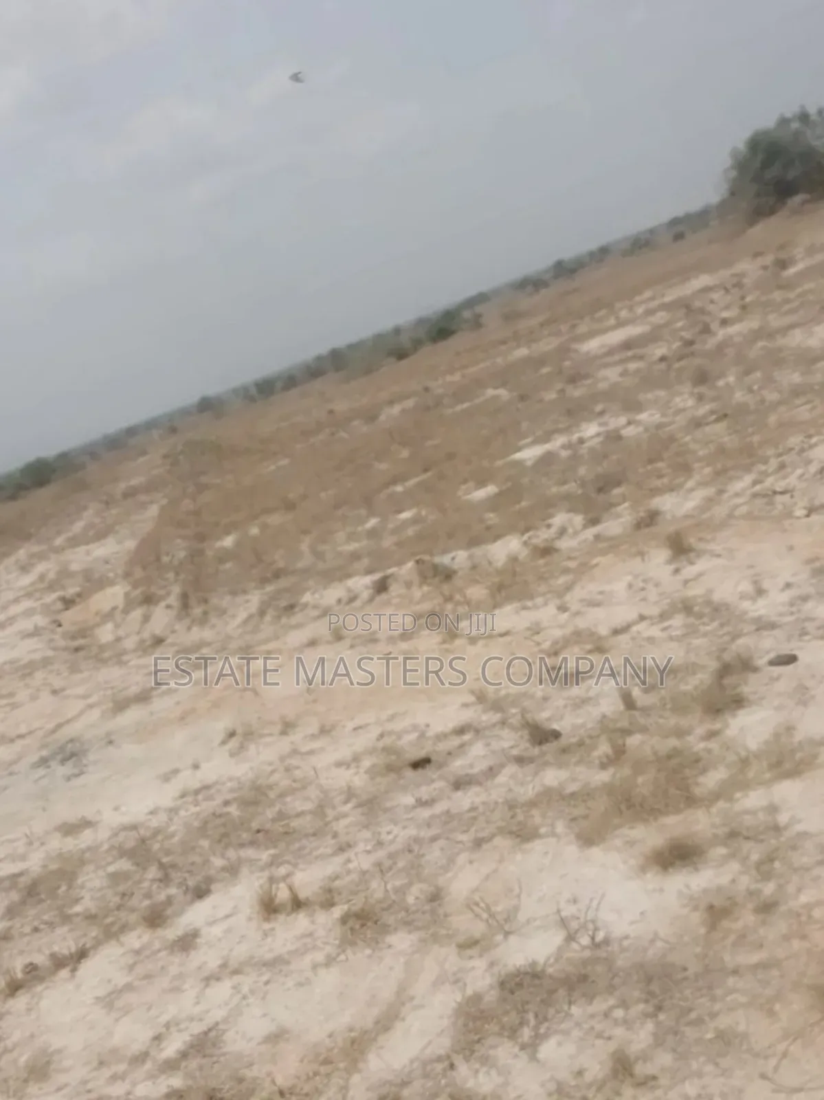 Profitable Land Available at Tsopoli