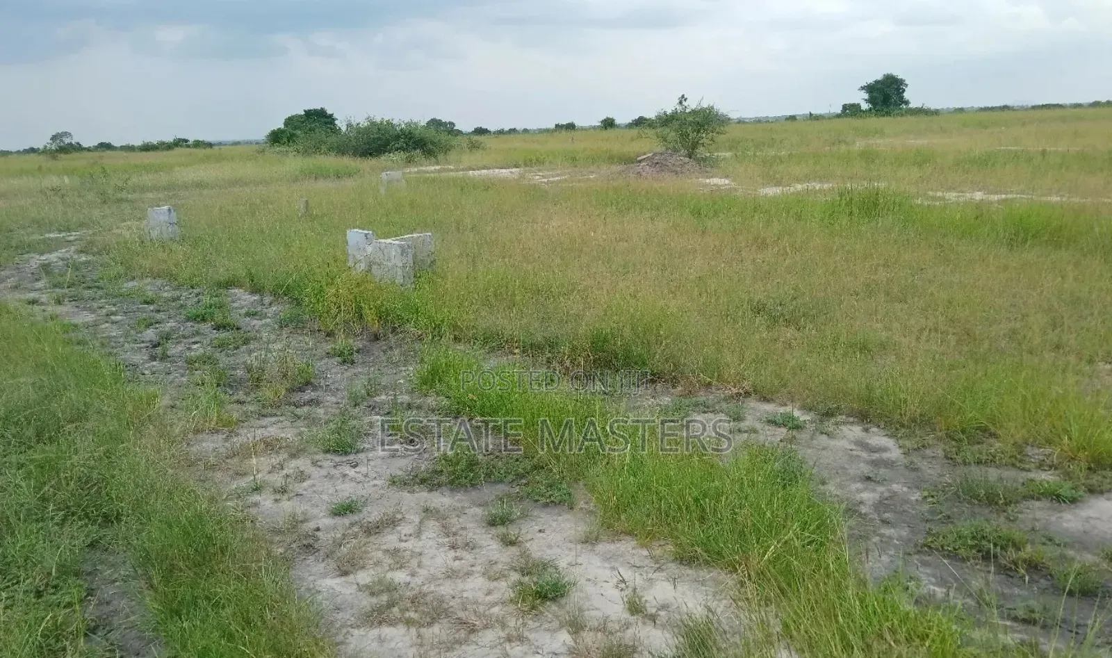 Well Demarcated Plots of Lands for Sale
