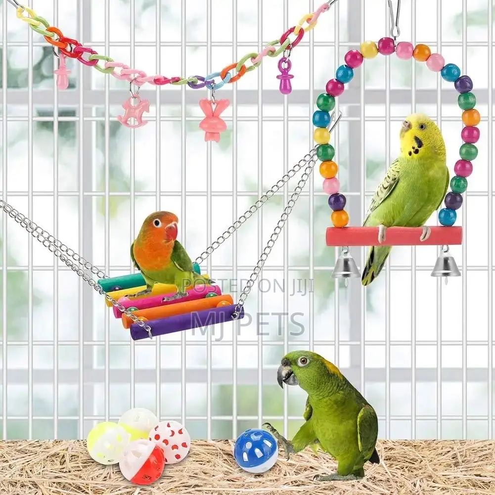 Parrot Swing Play Toys