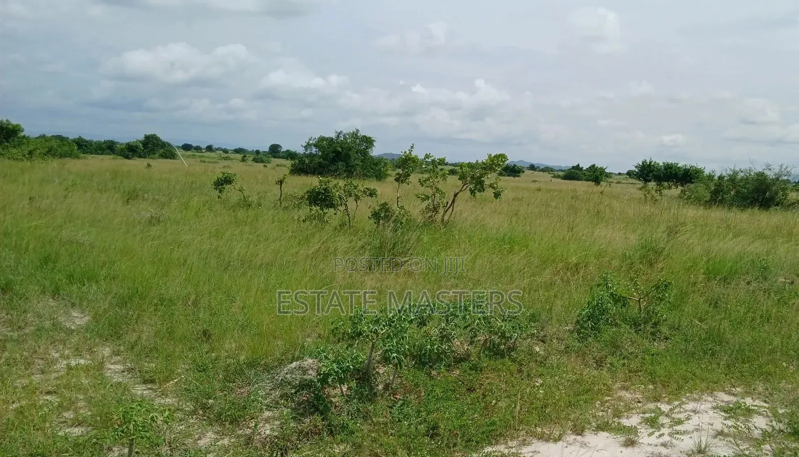 Promo on Land Sales