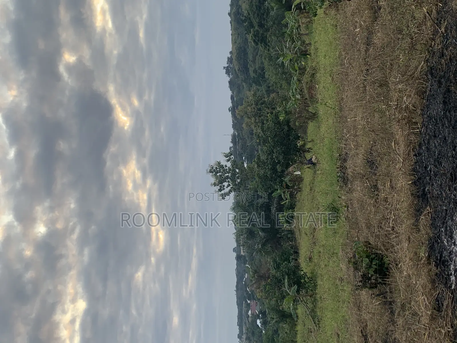 Fast Development Land Between Agenda 111 and Dumesua