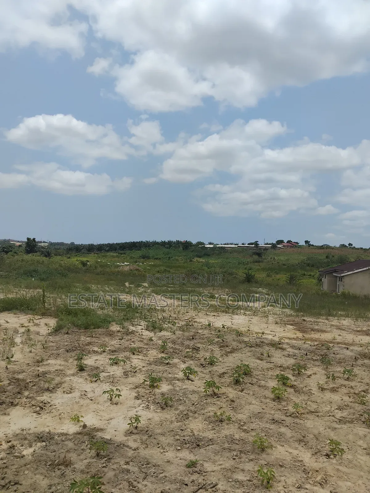No Pretence Land at Panfokrom