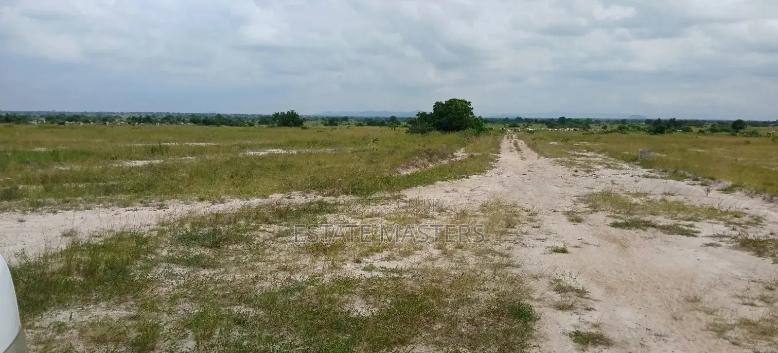Secure a Plot of Land