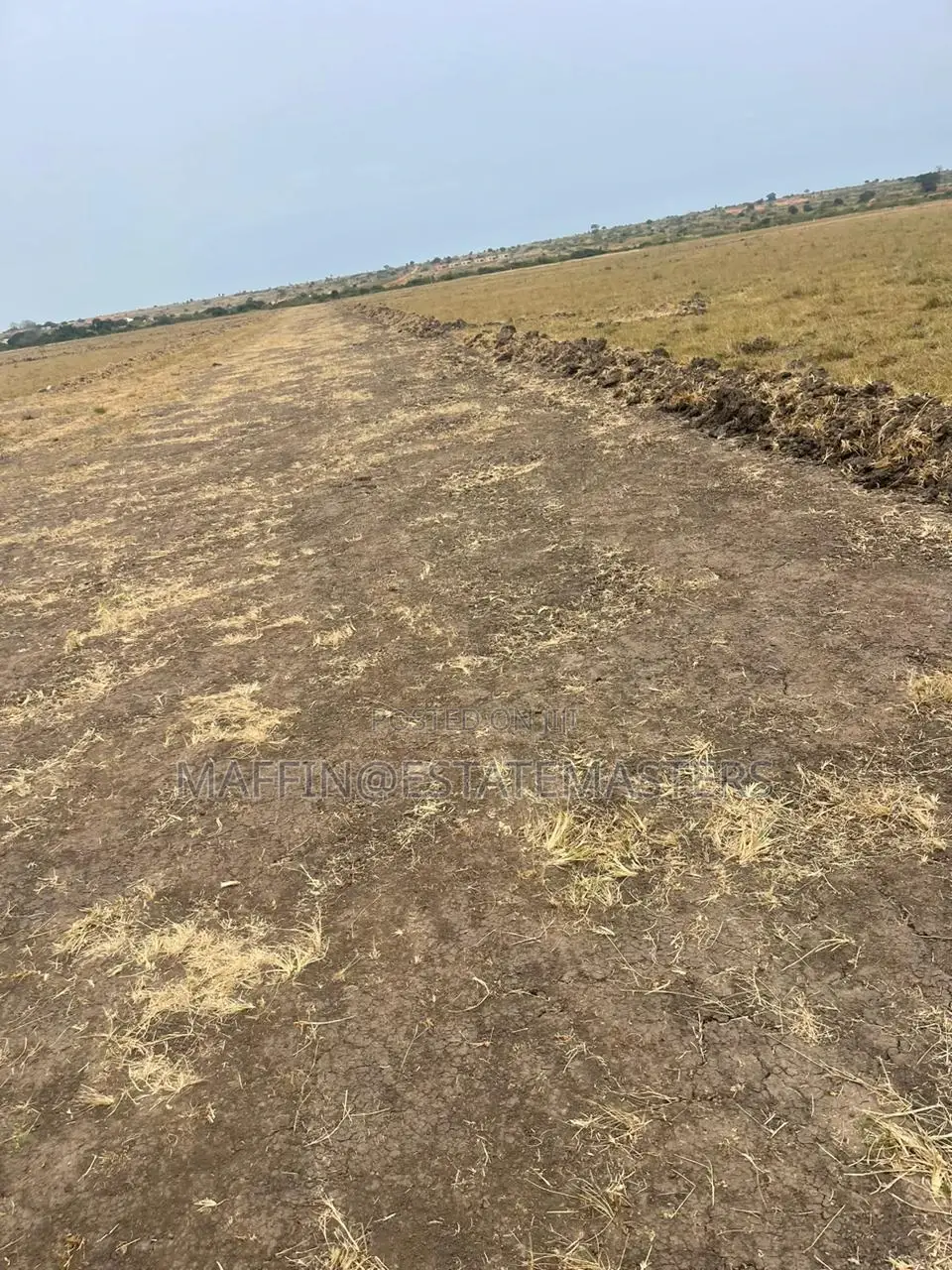 Luxurious Plot of Land for Sale
