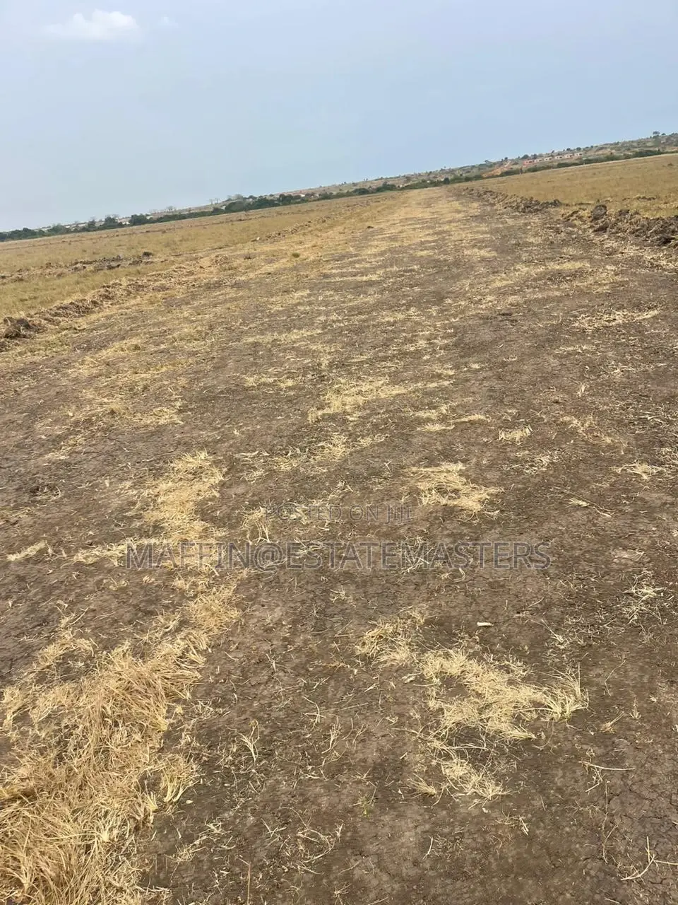 Luxurious Plot of Land for Sale