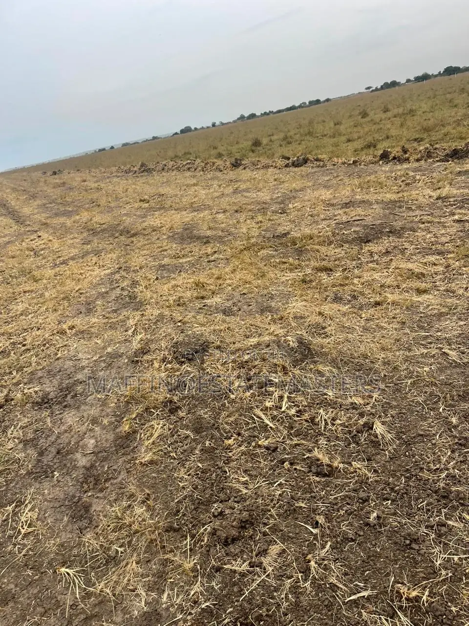 Land for Sale at a Serene Environment
