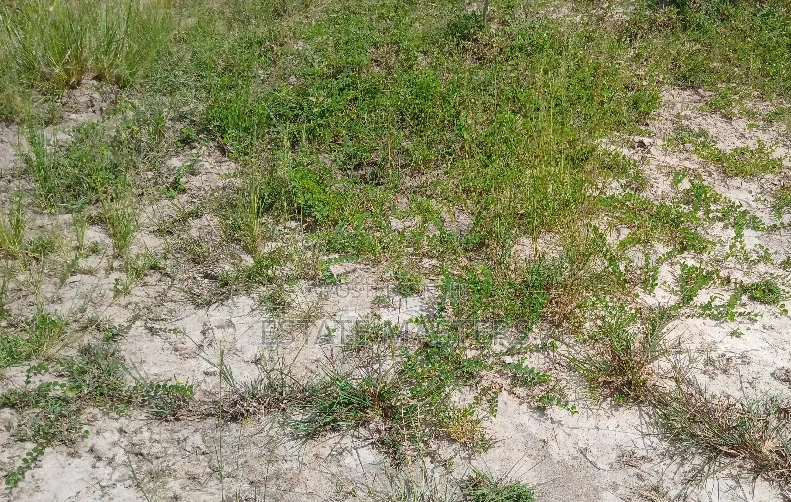 Don't Wait to Buy Plot of Land