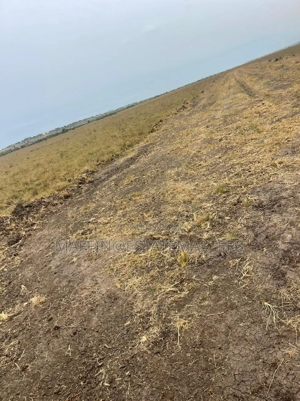 Reward Your Sweat With a Plot of Land at Tsopoli
