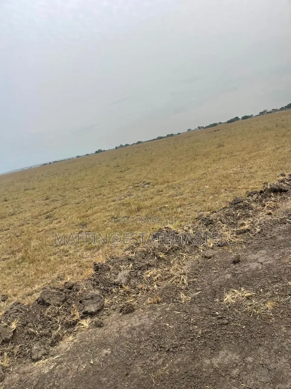 Dream Land for Sale at Affordable Price at Tsopoli