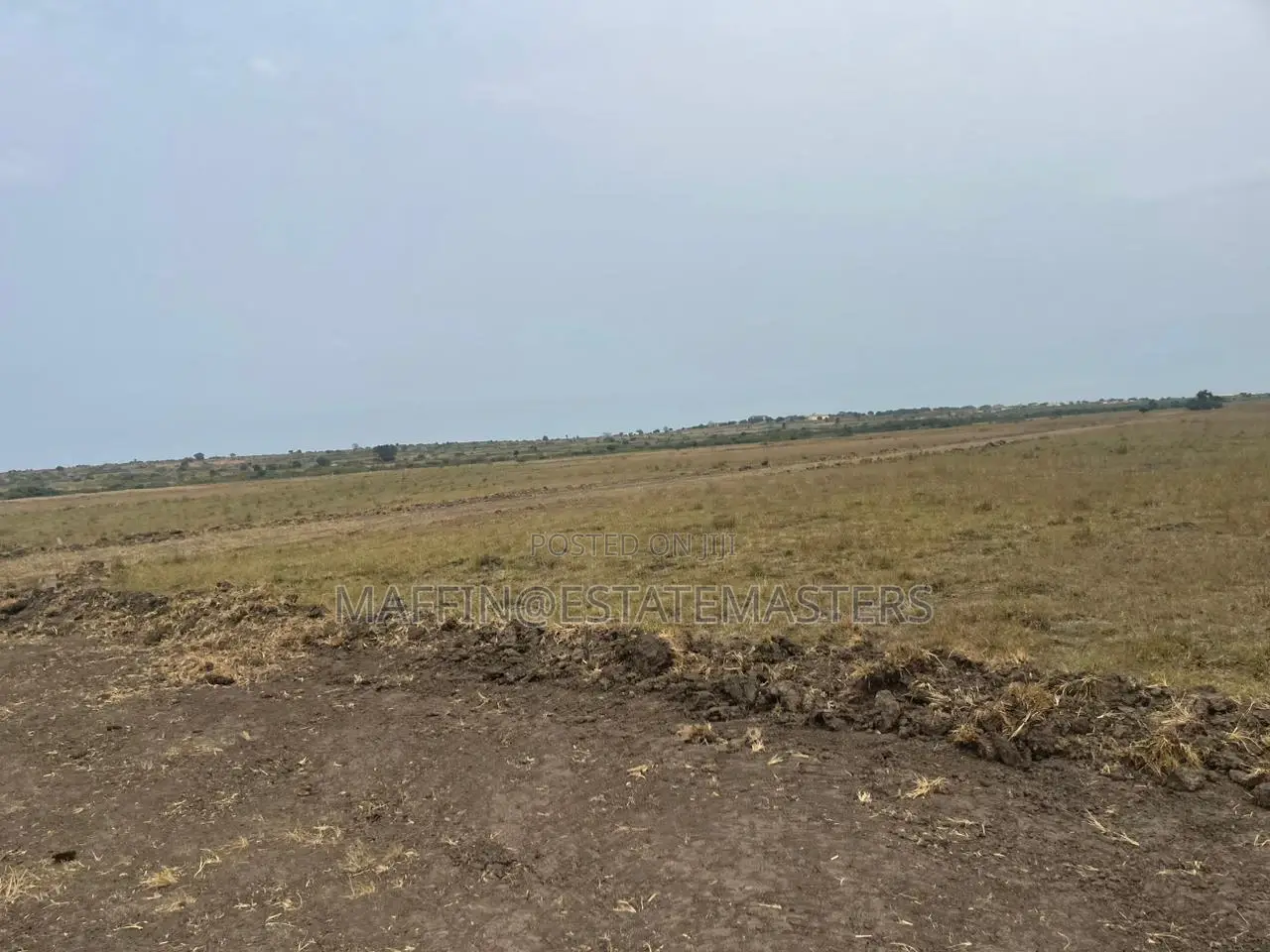 Own No Risk Land at Tsopoli From Estate Masters Company LTD