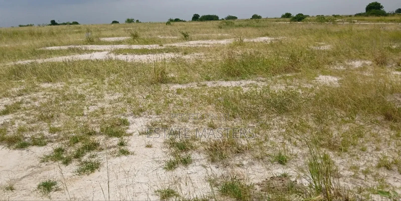 Invest in Genuine Plots of Lands