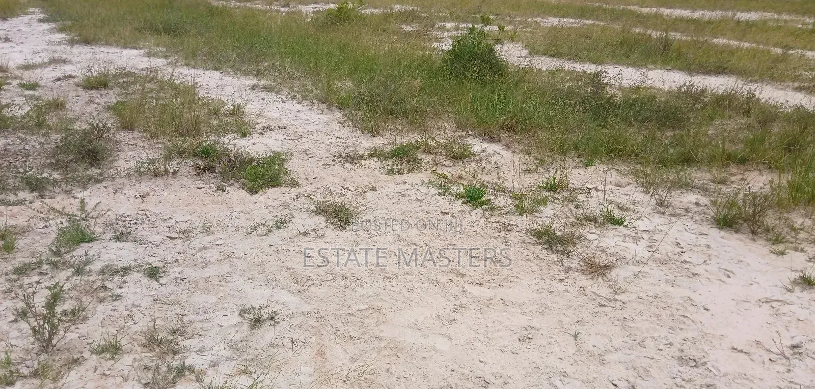 Full Sized Estate Plot of Land Up for Sale