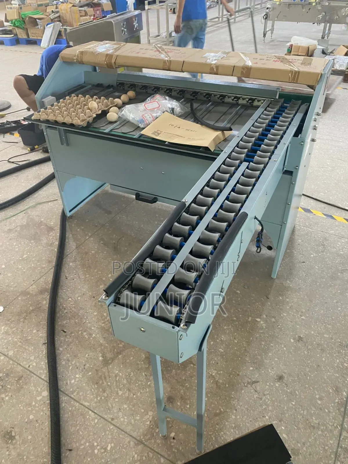 Egg Sorting Machine