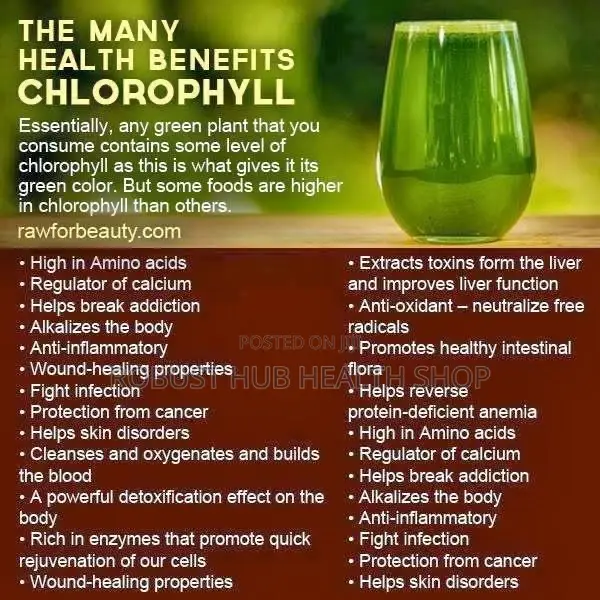 Liquid Chlorophyll 480ml