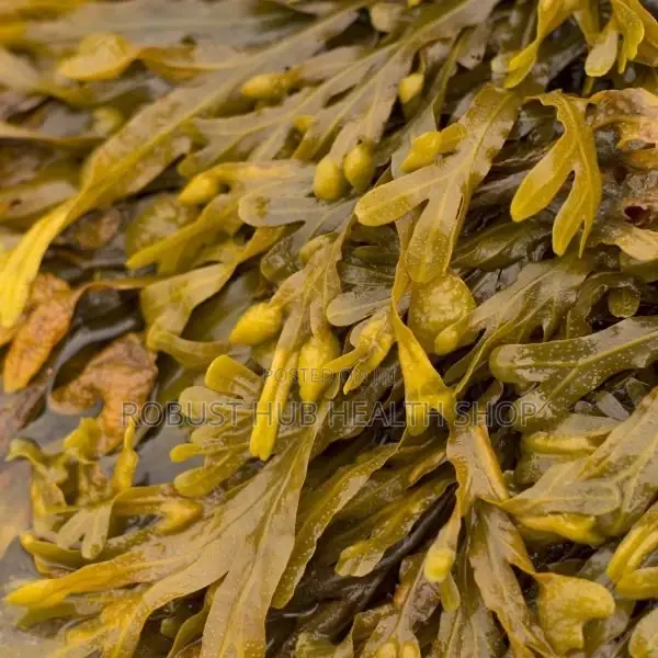 Nature’S Way Bladdderwrack