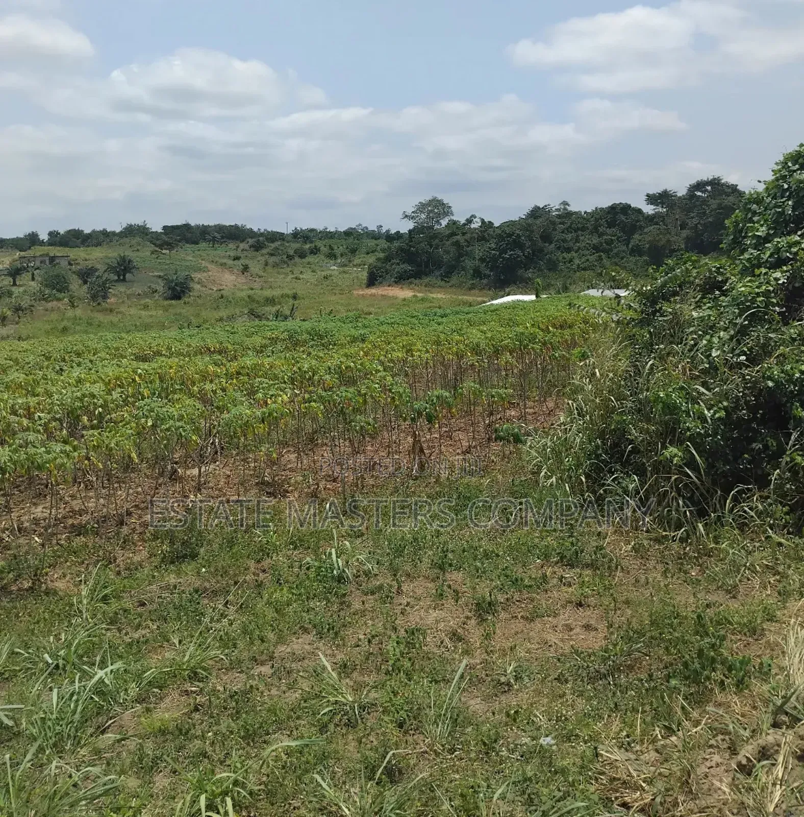 Credible Land at Panfokrom