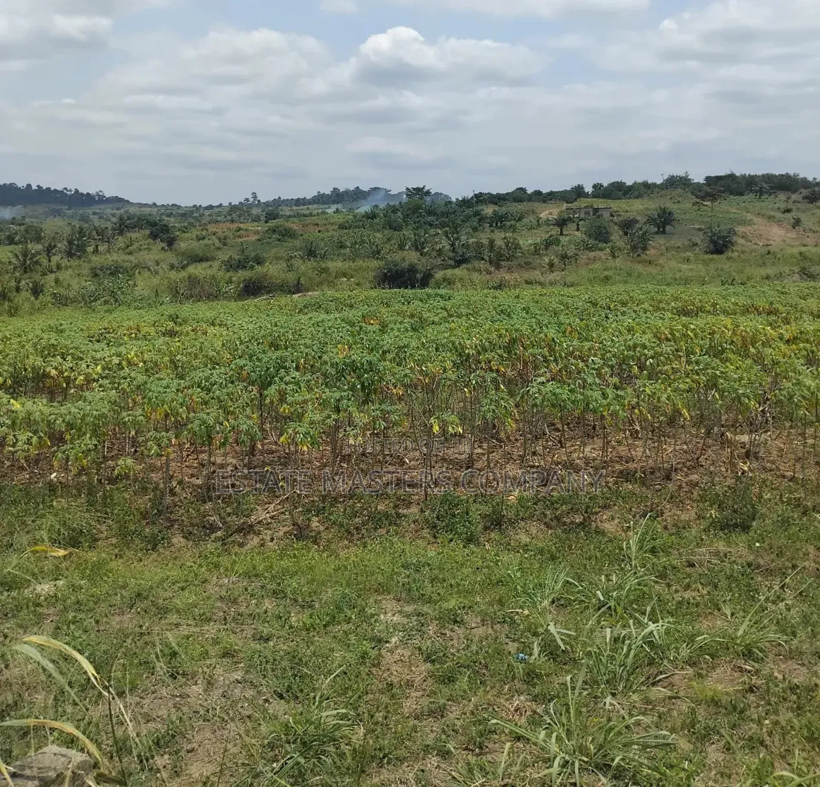 Land in Good Shape