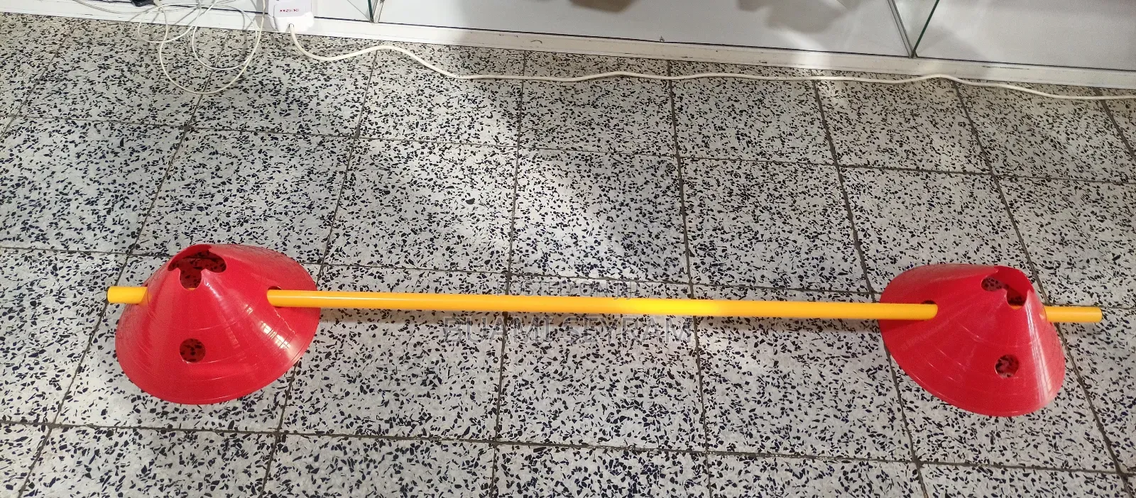 Agility Pole and Cones