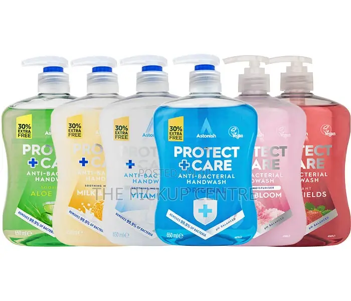 Astonish Antibacterial Handwash Protect Care 650ml