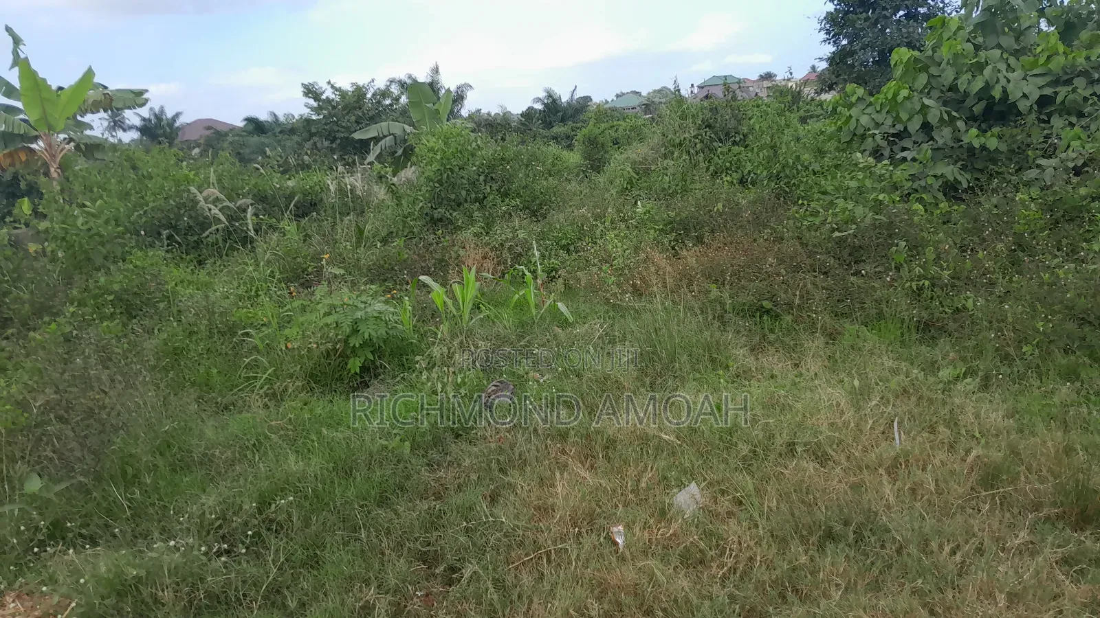 Plot for Sale at Race Course Down
