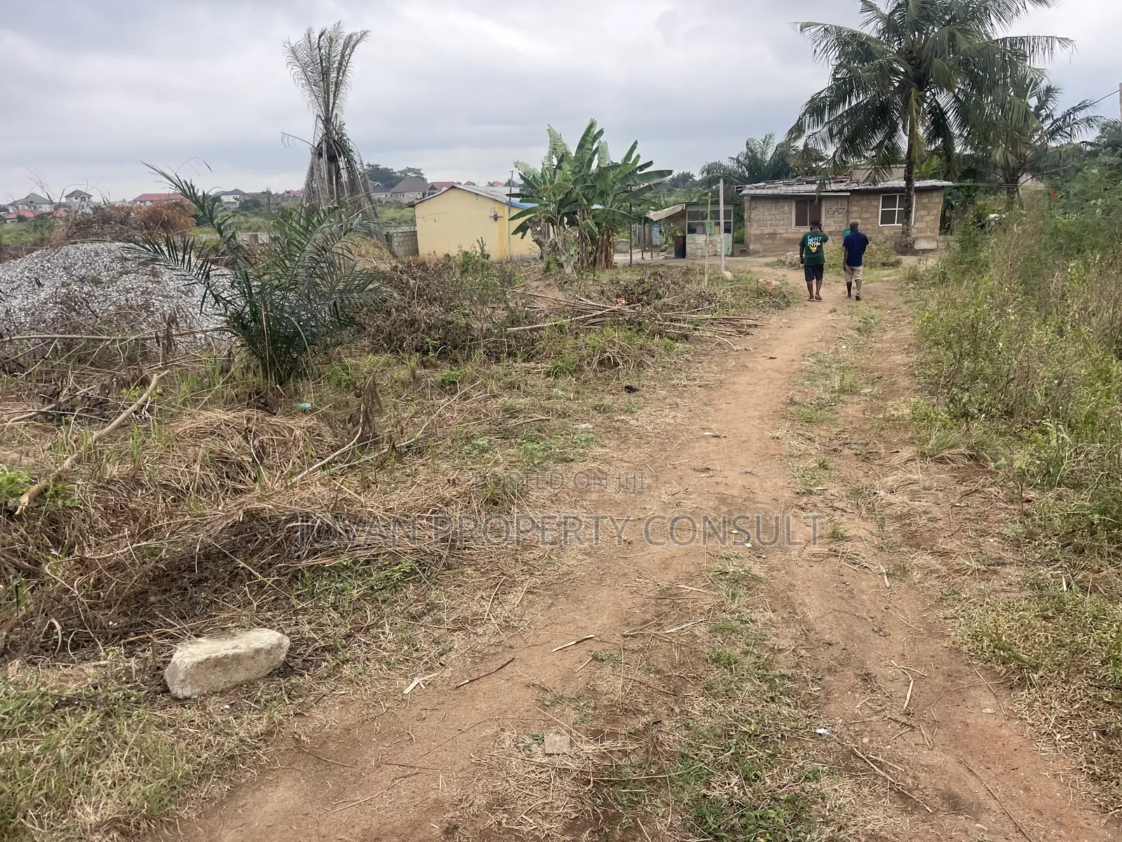 Land for Sale at Amasaman Cocoboard 300,000 Cedis