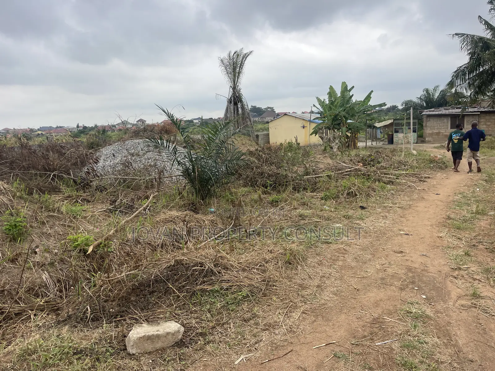 Land for Sale at Amasaman Cocoboard 300,000 Cedis