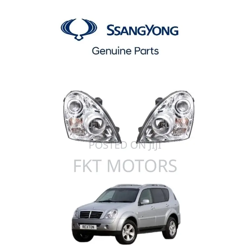 Ssang Yong Rexton (1,2, 3) Headlight and Taillight