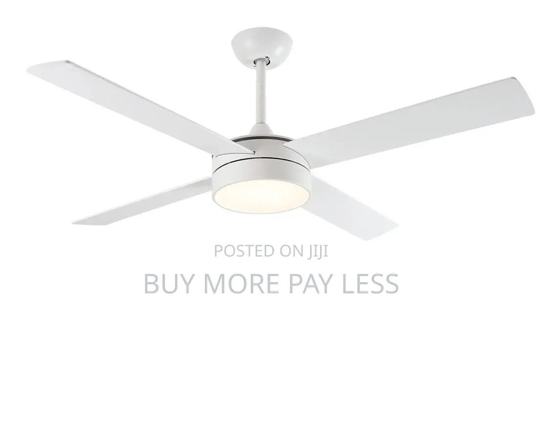 Ceiling Fan With Light