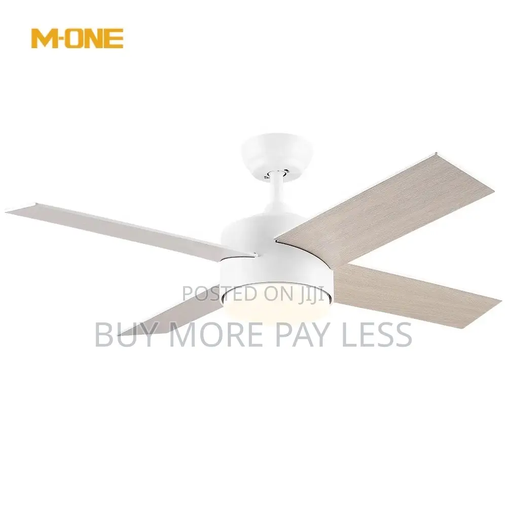 Ceiling Fan With Light