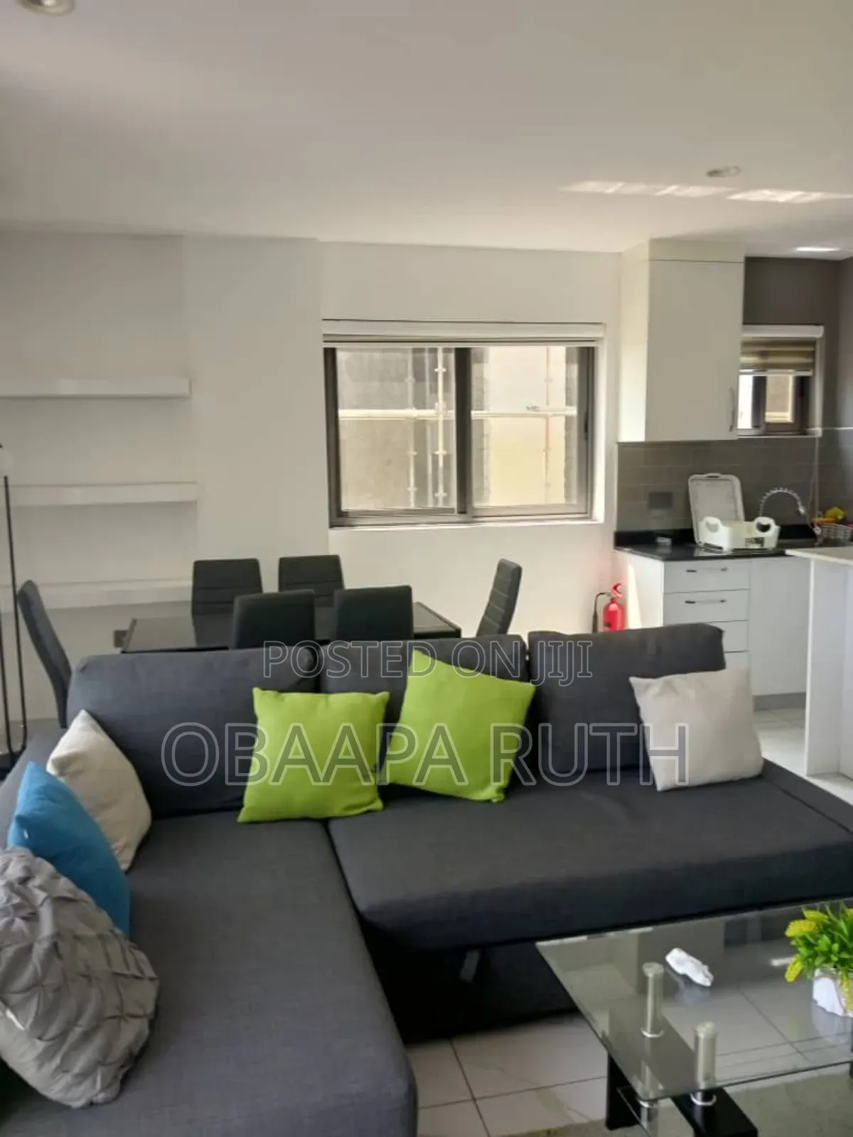 Furnished 1bdrm Apartment in Cantonments for rent