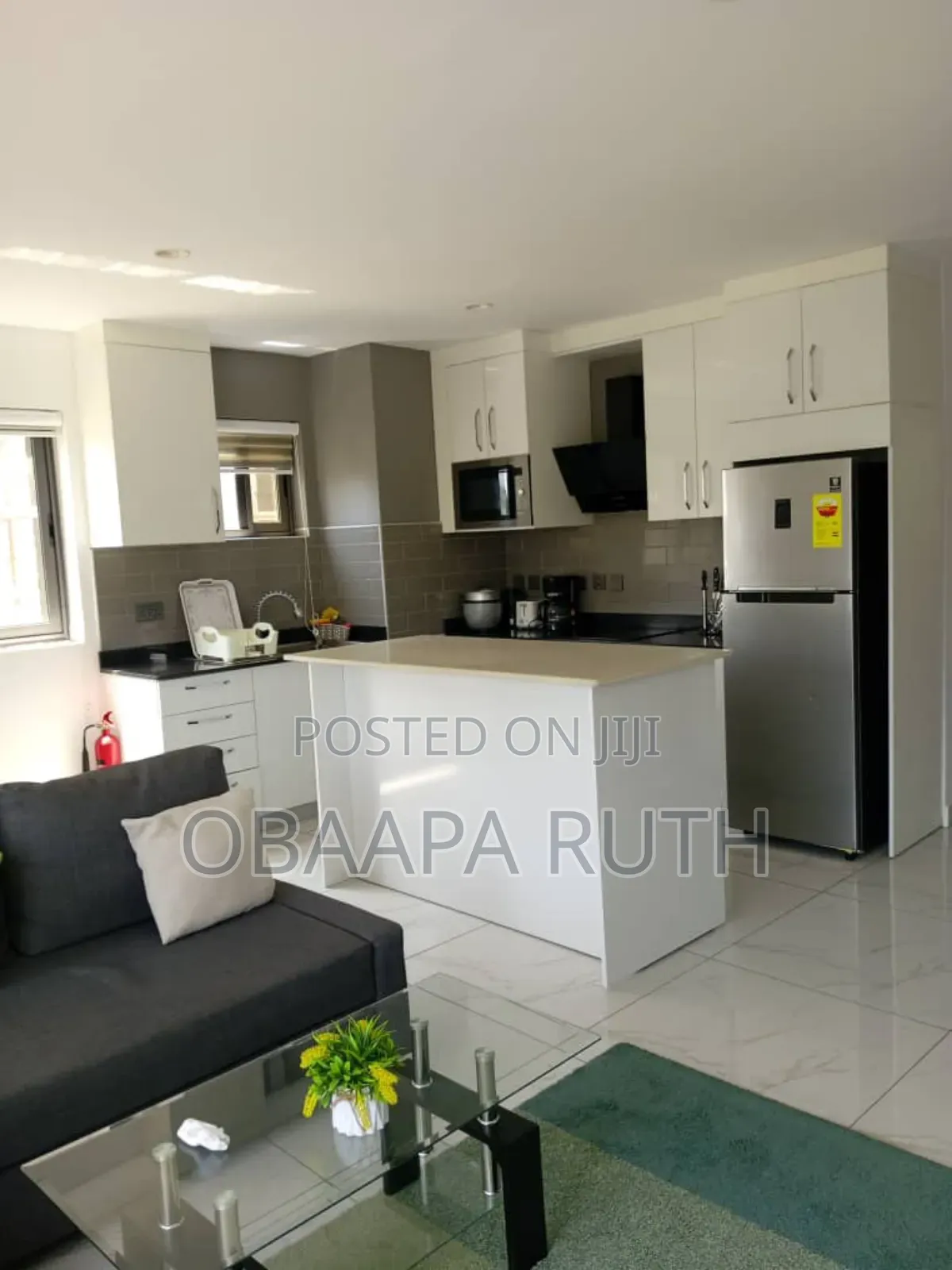 Furnished 1bdrm Apartment in Cantonments for rent