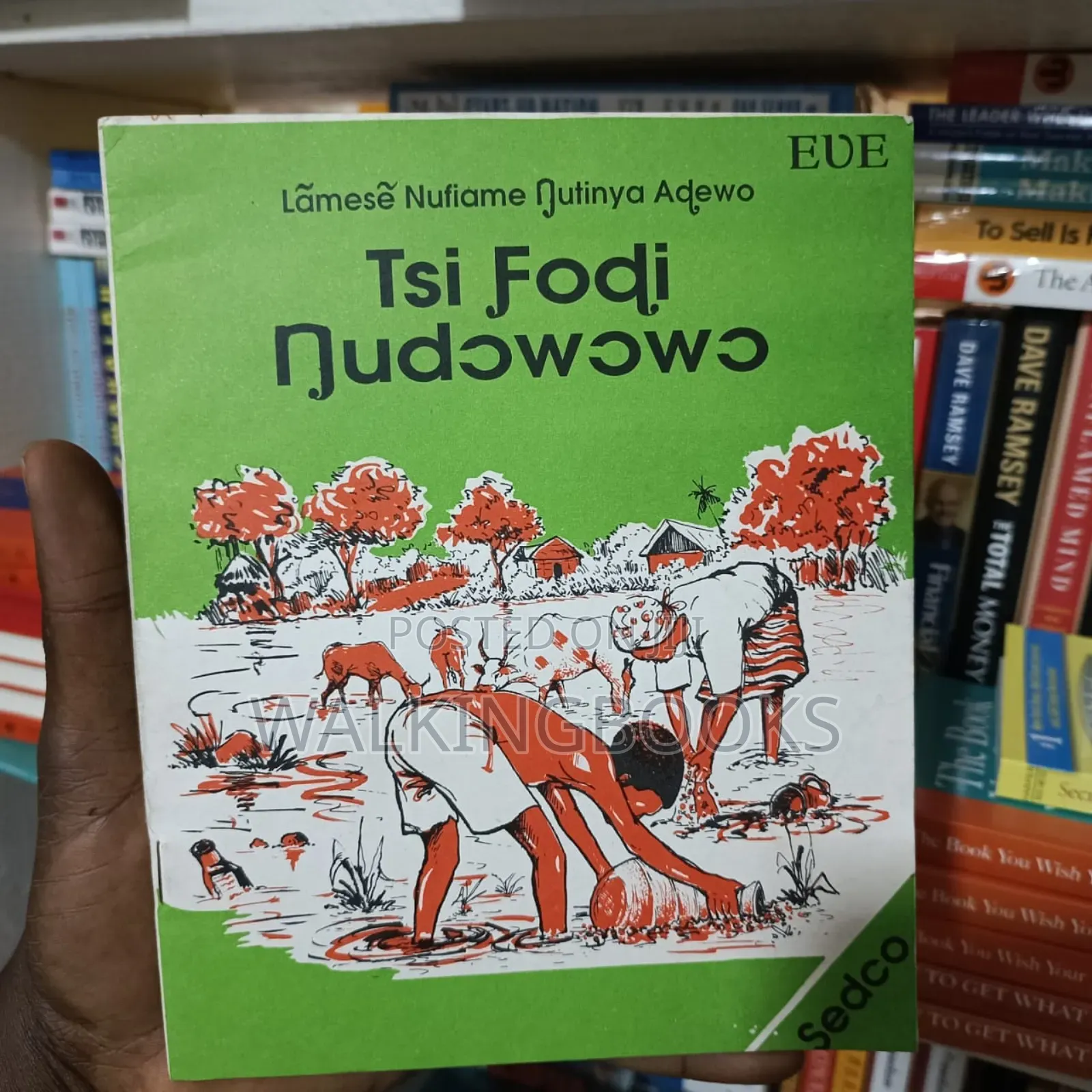 Tsi Ƒodi Nudɔwɔwɔ (Lamese Nufiame Nutinya Adewo)
