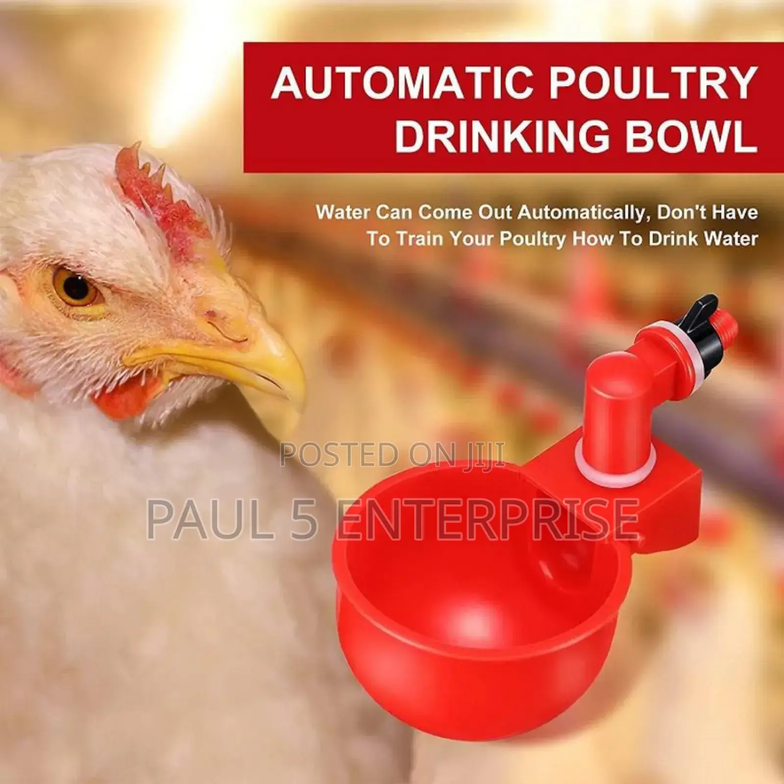 Chicken Automatic Drinkers Good Quality L